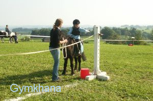 Gymkhana 2008