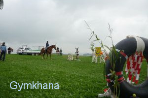 Gymkhana 2009