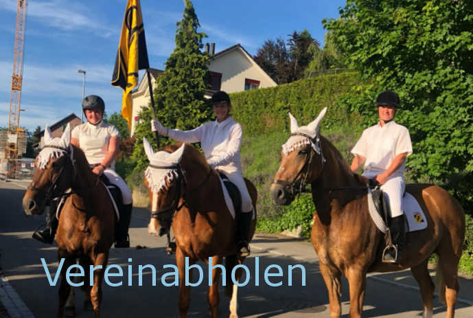 Vereinabholen 2019