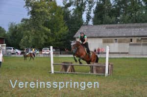 Vereinsspringen 2015