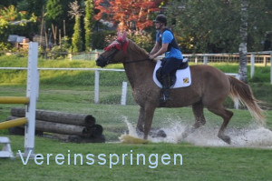 Vereinsspringen 2016