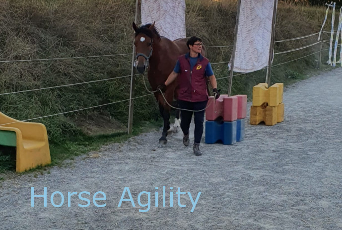 Horse-Agility 2022