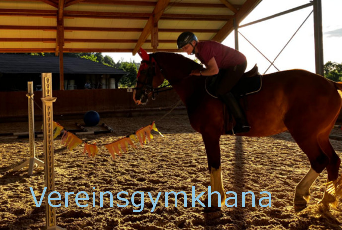 Vereinsgymkhana 2025