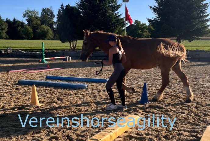 Vereinshorseagility 2025