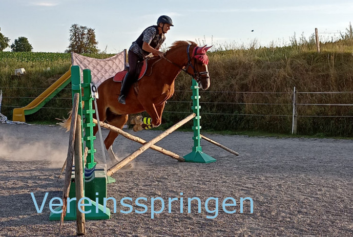 Vereinsspringen 2022